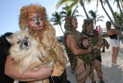 2003 Pet Masquerade photo - Duval Street, Key West